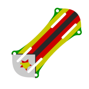 Zimbabwe Arm Guard